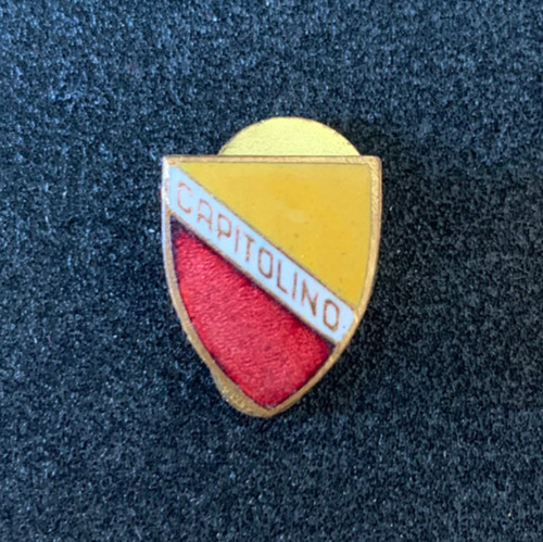 Distintivo società sportiva - distintivo,