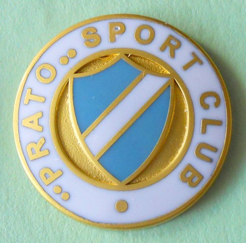 Distintivo spilla pin badge - spilla,