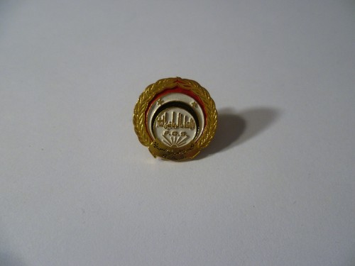 Spilla distintivo ufficiale - spilla,