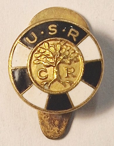 Distintivo spilla smaltata - distintivo/spilla,