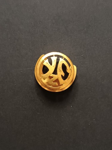 Pins pin badge - pin,