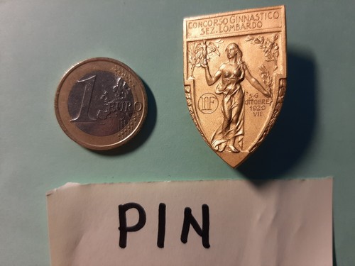 D8867 pin spilla - d8867, sport
